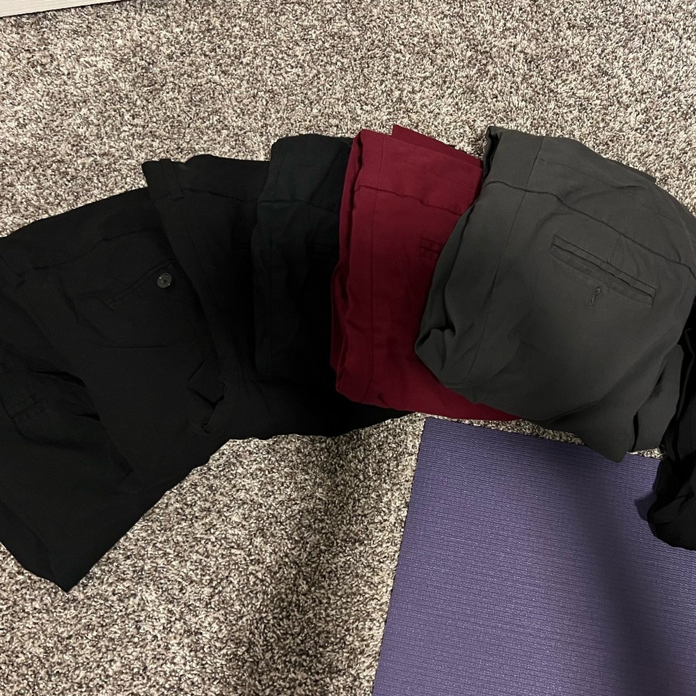 The Limited Ideal Stretch dress pants bundle - 7 pairs total